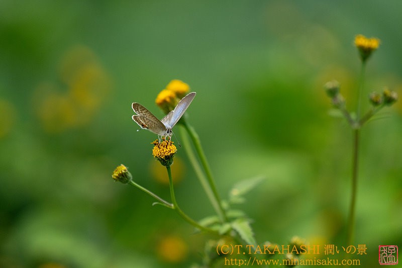 ../Images/7R241027 (178).jpg